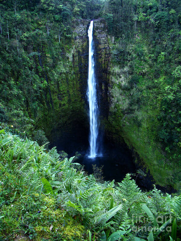 Landscape Art Print featuring the photograph Hawaiian Waterfall by Eva Kato