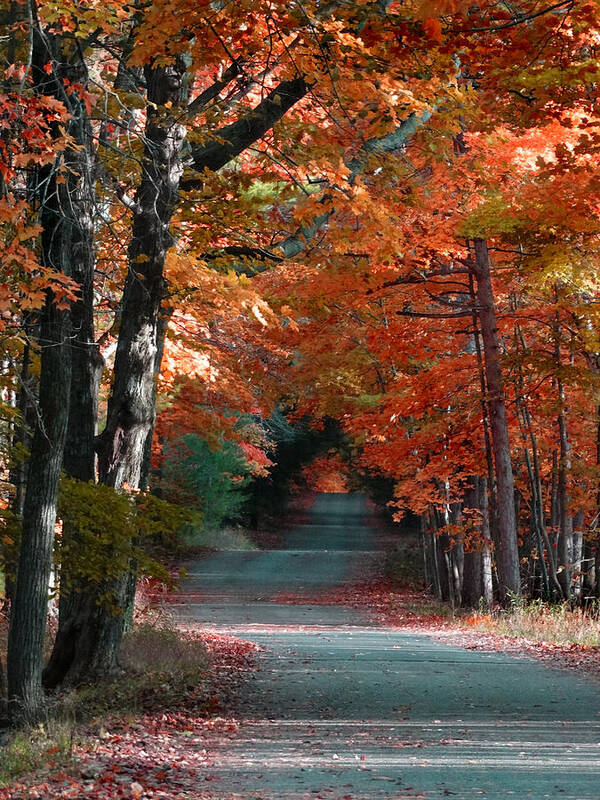 Fall Colors Art Print featuring the photograph Highland Road Color by David T Wilkinson