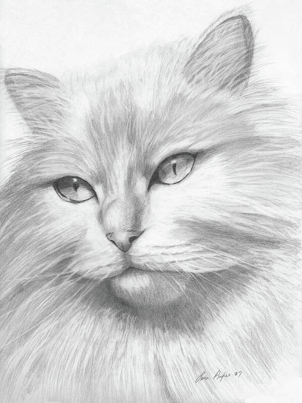 Cat Art Print featuring the drawing Himalayan Cat by Lena Auxier