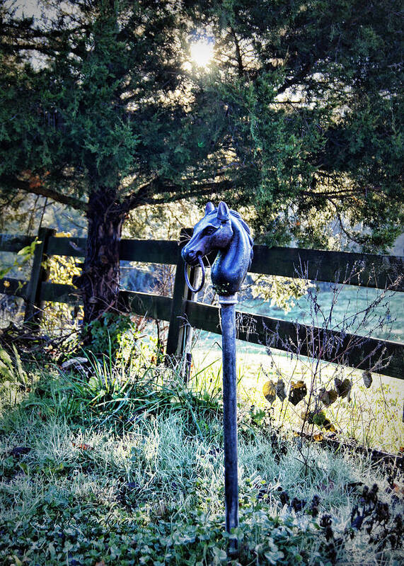 Hitching Post Art Print featuring the photograph Hitching Post by Cricket Hackmann