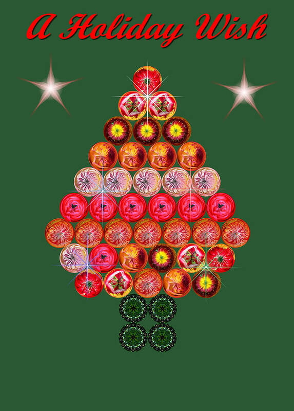 Digital Art Art Print featuring the photograph Holiday Tree of Orbs 2 by Nick Kloepping