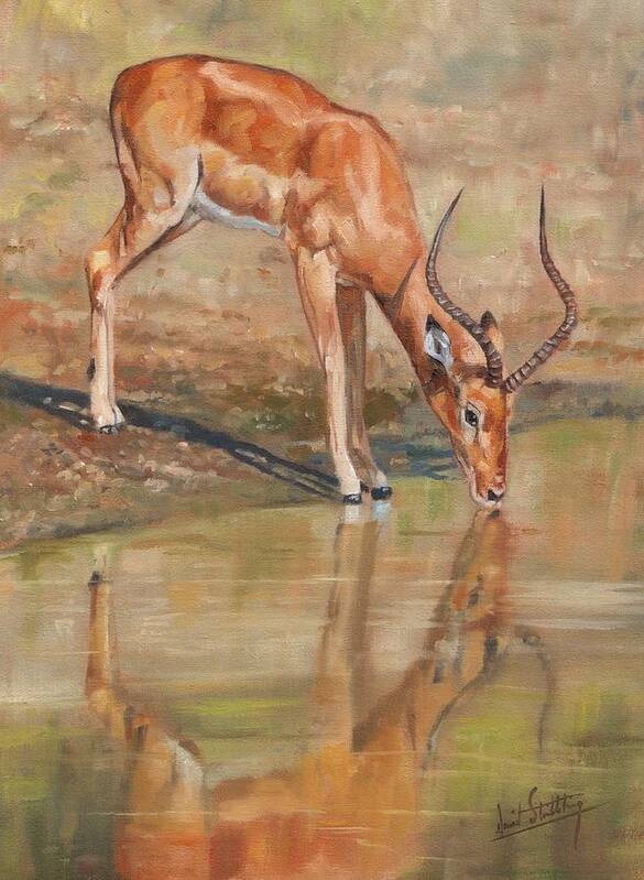 Impala Art Print featuring the painting Impala by David Stribbling