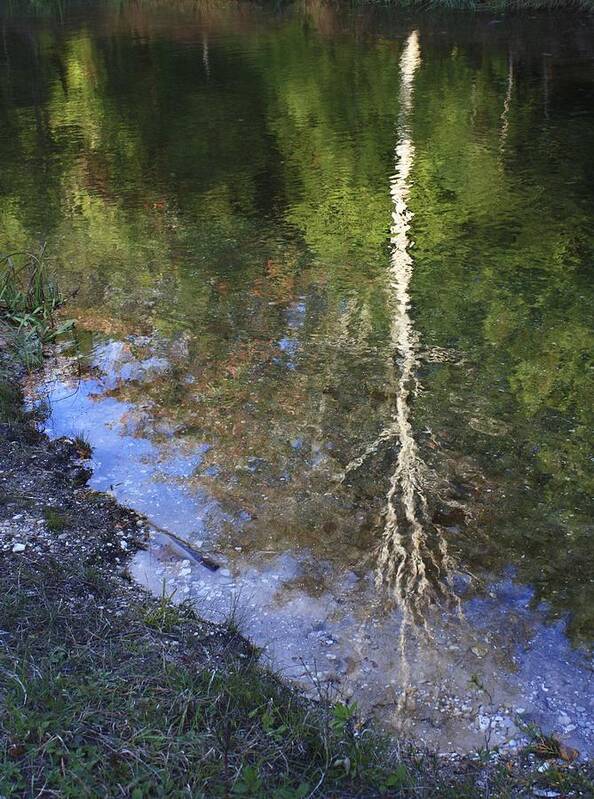 Reflections Art Print featuring the photograph Impressionist Reflections by Patrice Zinck