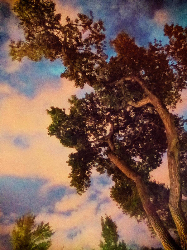 Landscapes Art Print featuring the photograph Inspired by Maxfield Parrish by Mary Lee Dereske