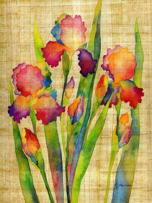 Iris Art Print featuring the painting Iris Elegance on Yellow by Hailey E Herrera