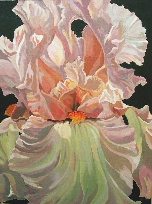 Flower Art Print featuring the painting Iris In Pink by Alfred Ng