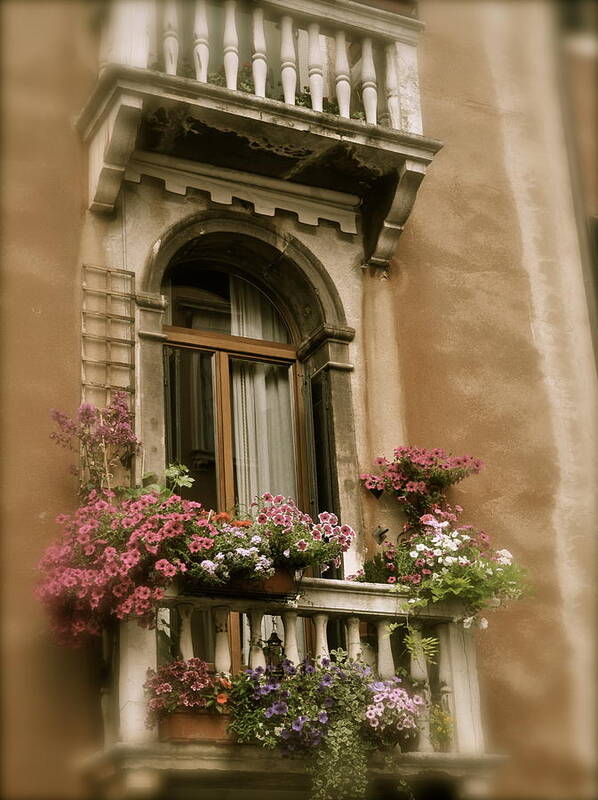 Italian Floral Art Print featuring the photograph Italian Windowbox 2 by Teresa Tilley