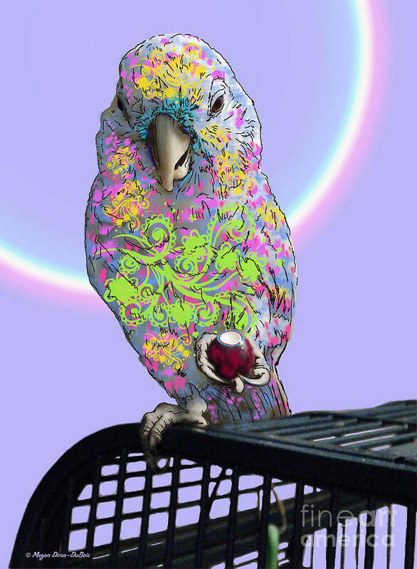 Birds Art Print featuring the photograph Jawbreaker-Dandy by Megan Dirsa-DuBois