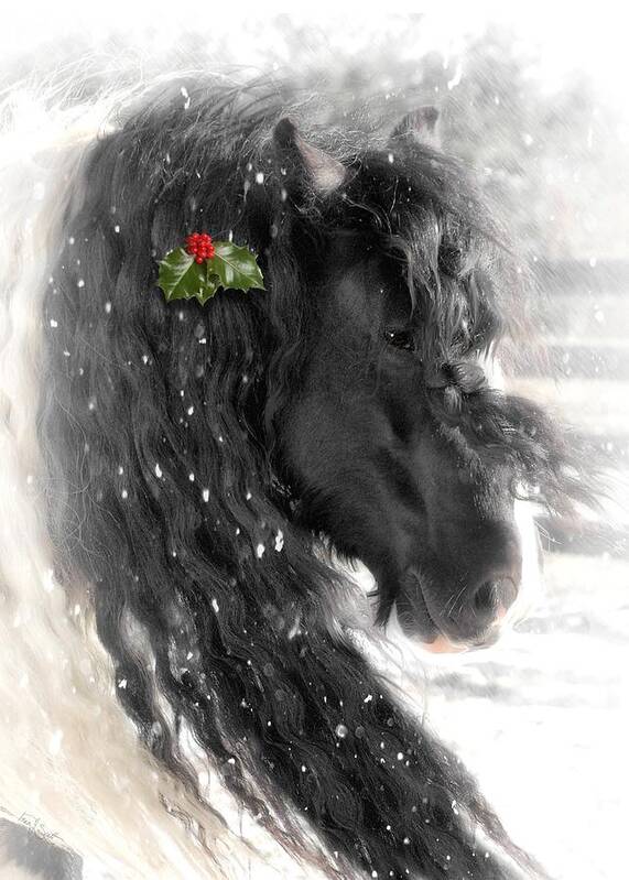 Gypsy Horse Art Print featuring the photograph Just a little Holly will do by Fran J Scott
