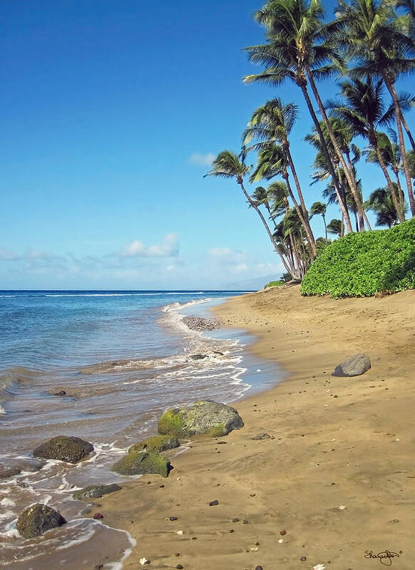 Beach Art Print featuring the photograph Ka'anapali Beach by Shanna Hyatt