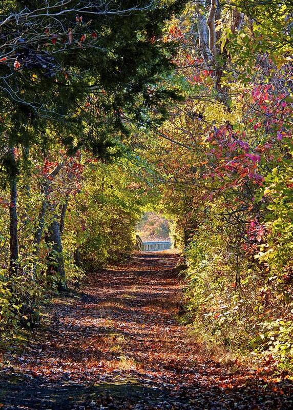 Anne Arundel County Art Print featuring the photograph Light at the End of the Tunnel by Kathi Isserman