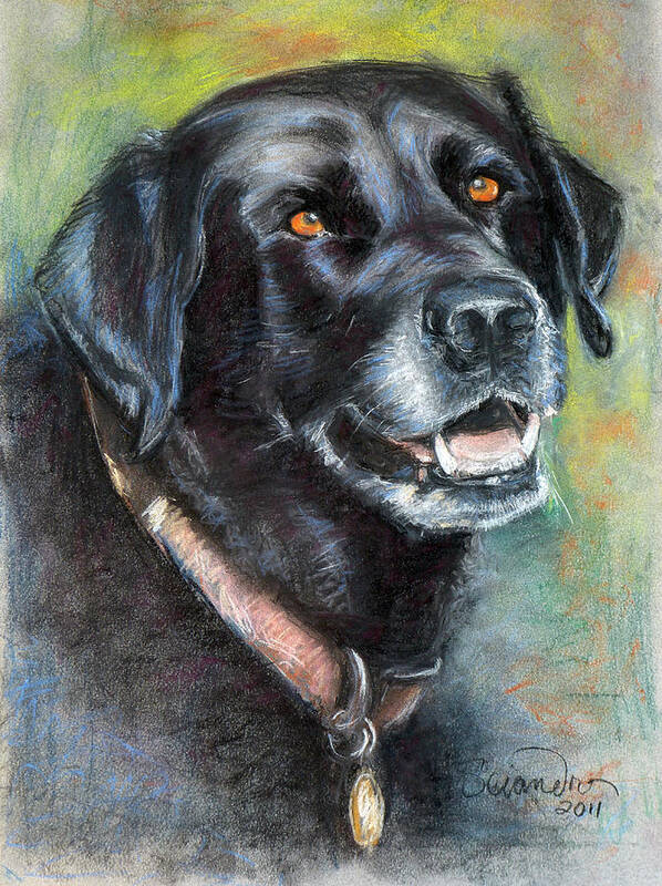 Labrador Retriever Art Print featuring the painting Lily- Black Labrador Retriever by Sciandra 