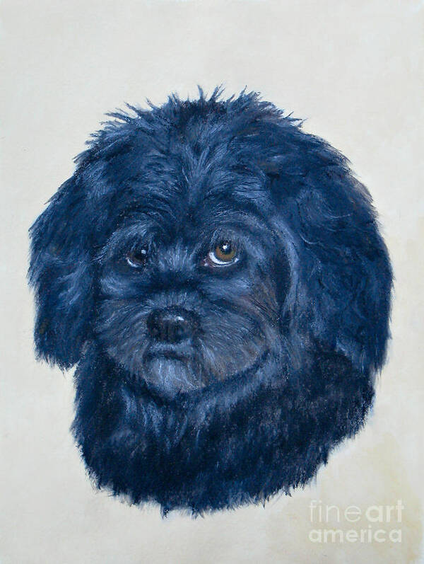 Artwork Art Print featuring the painting Little Marilyn the Lhasa-Poo by Jean A Chang