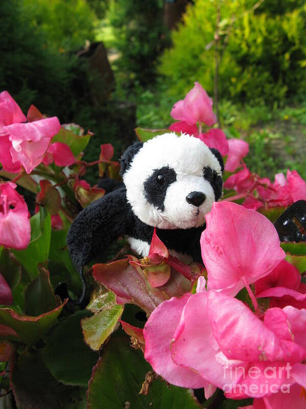 Baby Panda Art Print featuring the photograph Lovely pink flower by Ausra Huntington nee Paulauskaite
