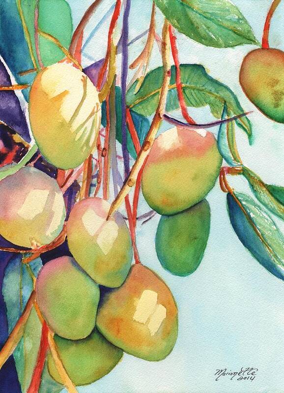 Mango Art Print featuring the painting Mangoes by Marionette Taboniar
