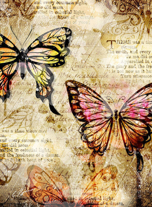 Butterfly Art Print featuring the digital art Mariposa Equinox by Gary Bodnar