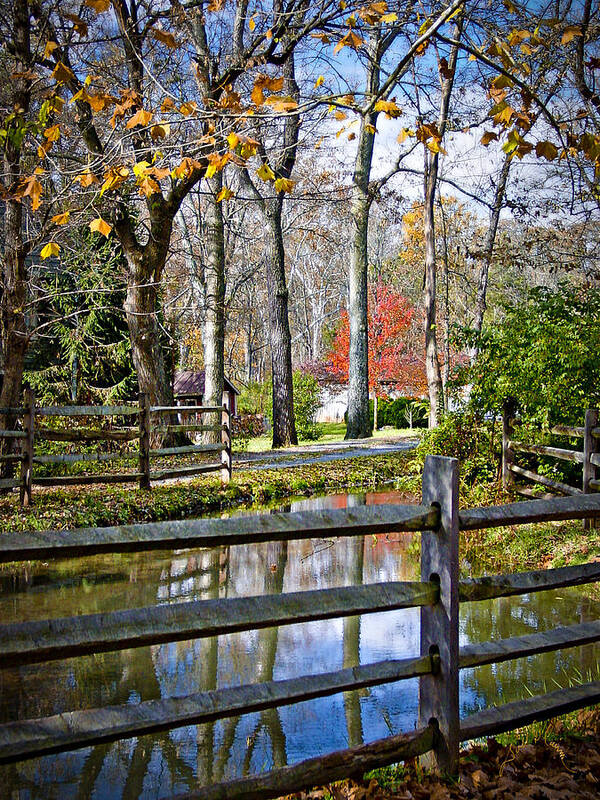 Autumn Art Print featuring the photograph Millwood by T Cairns