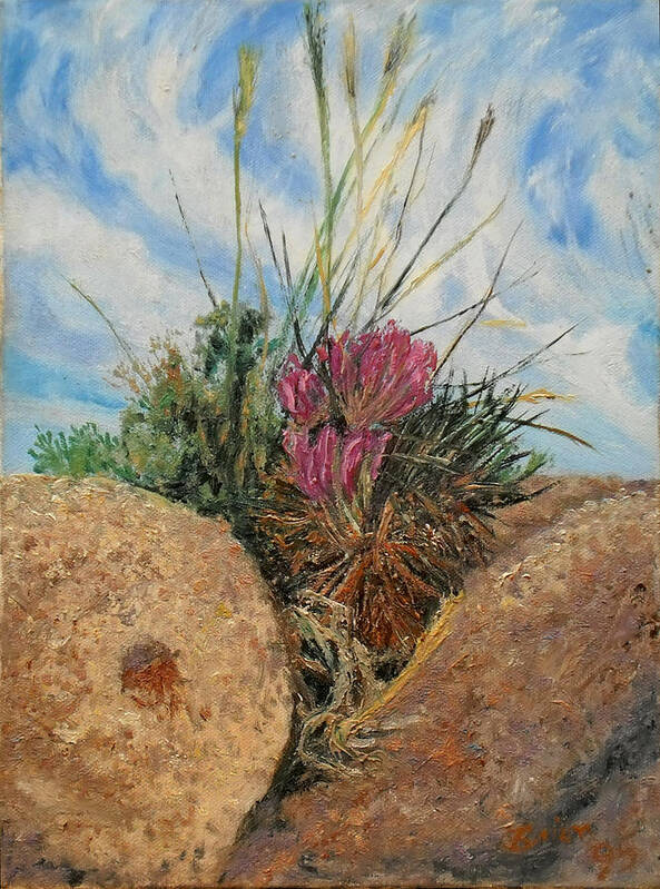 Small Life Sized Garden Of Cactus Flower And Grasses In A Rock Cleft Art Print featuring the painting Mini Cactus Garden in Rock by Brian Pinkey
