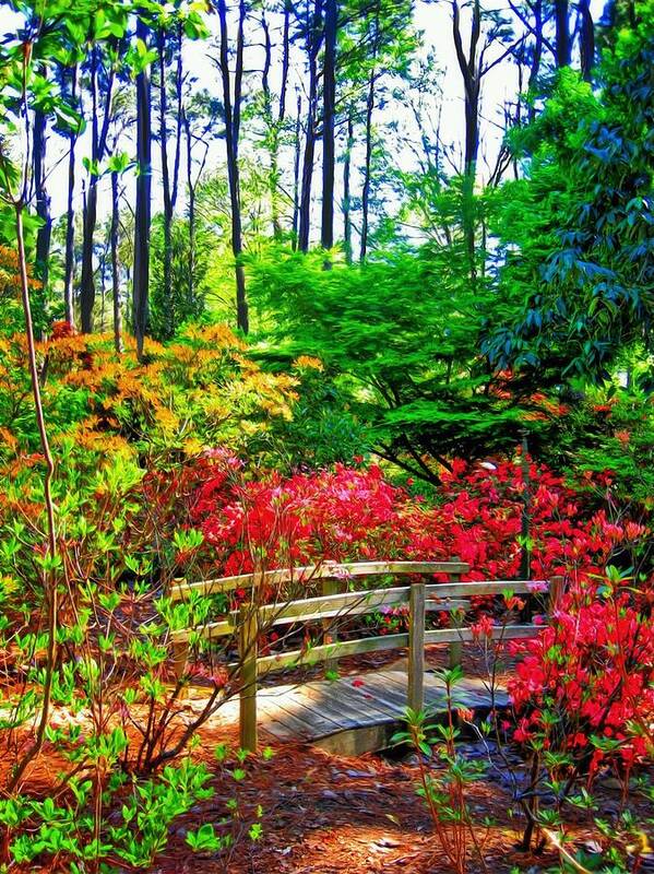 Mize Art Print featuring the photograph Mize Azalea Garden by Savannah Gibbs