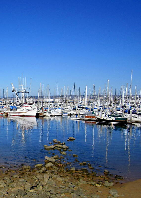 Boats Art Print featuring the photograph Monterey-7 by Dean Ferreira