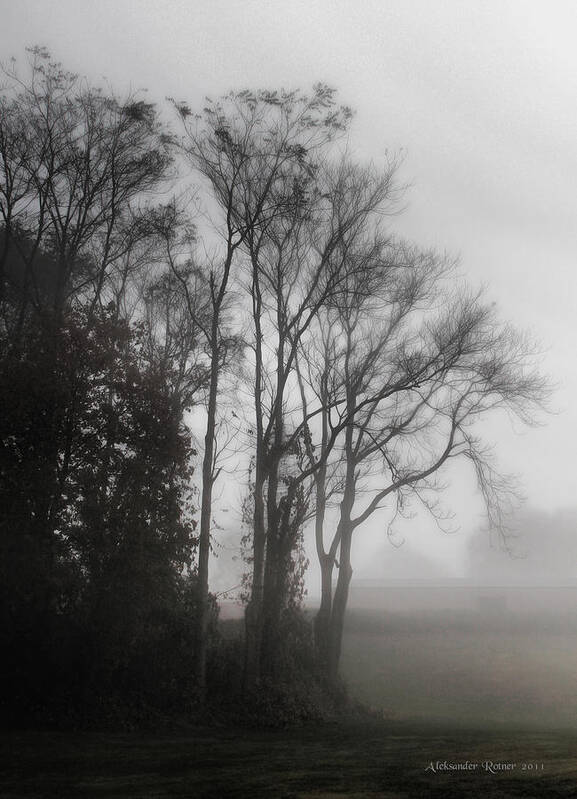 Mist Art Print featuring the photograph Morning Mist by Aleksander Rotner