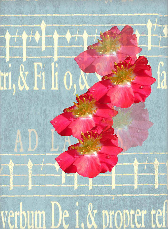 Wild Roses Art Print featuring the digital art Music and Roses by Rosalie Scanlon