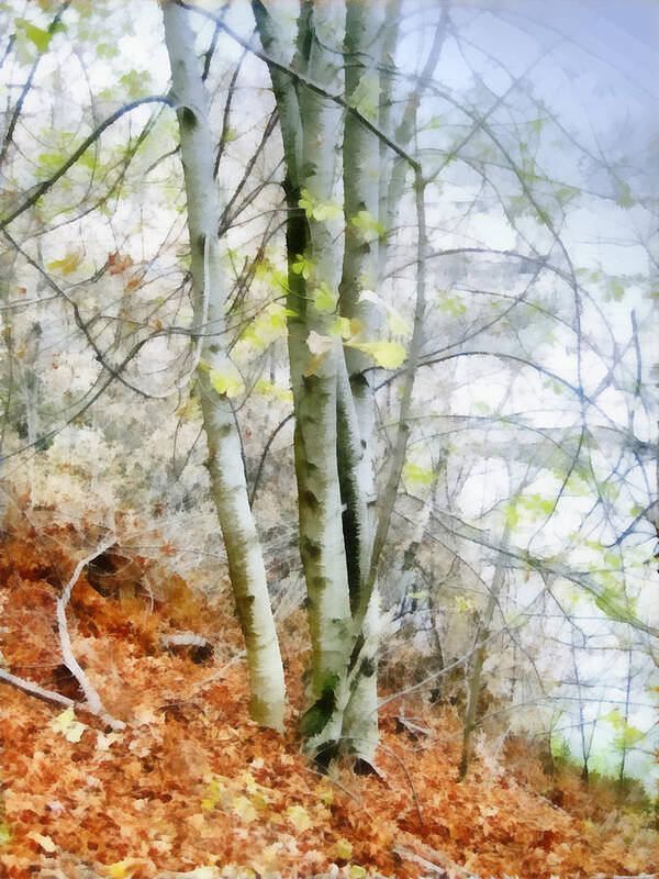 Tree Art Print featuring the painting nature - landscape Walk in the Woods by Ann Powell