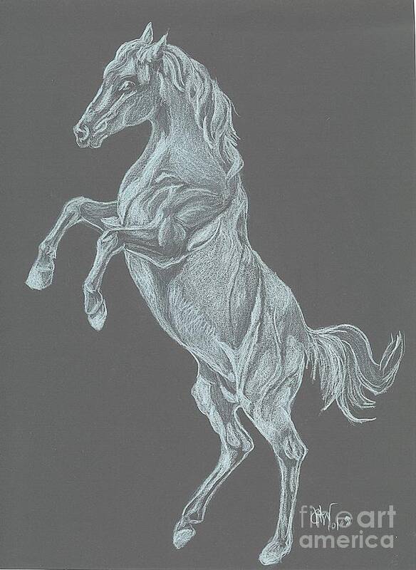 White Horse Art Print featuring the drawing No Name by Carol Wisniewski