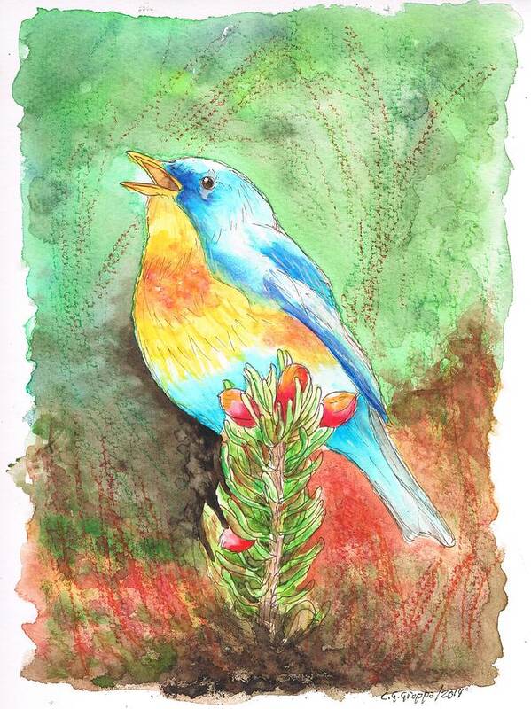 Nature Art Print featuring the painting Northern Parula by Carlos G Groppa