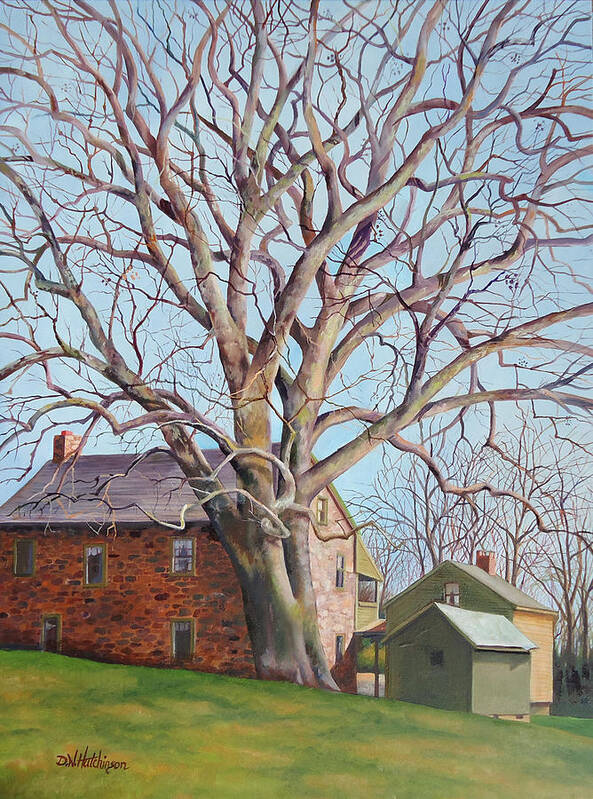 Sycamore Art Print featuring the painting Old Friends by Diane Hutchinson