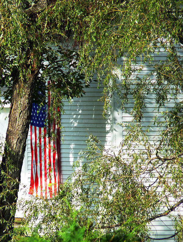 Flag Art Print featuring the photograph Old Glory by Carl Sheffer