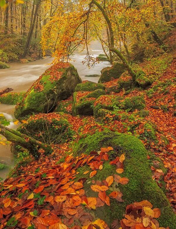 Autumn Art Print featuring the photograph On the riverside by Maciej Markiewicz