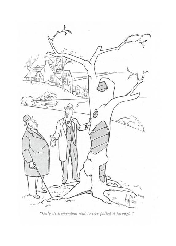 113284 Gpr George Price Sick Tree. Dead Death Die Doctor Doctorate Doctors Dying Examination ?tness Gardener Gardeners Gardening Get Health Ill Illness Life Lives Living Medical Nature Nurse Patients Physician Plant Planting Plants Seed Seeds Sick Sickness Soon Tree Trees Well Art Print featuring the drawing Only Its Tremendous Will To Live Pulled by George Price