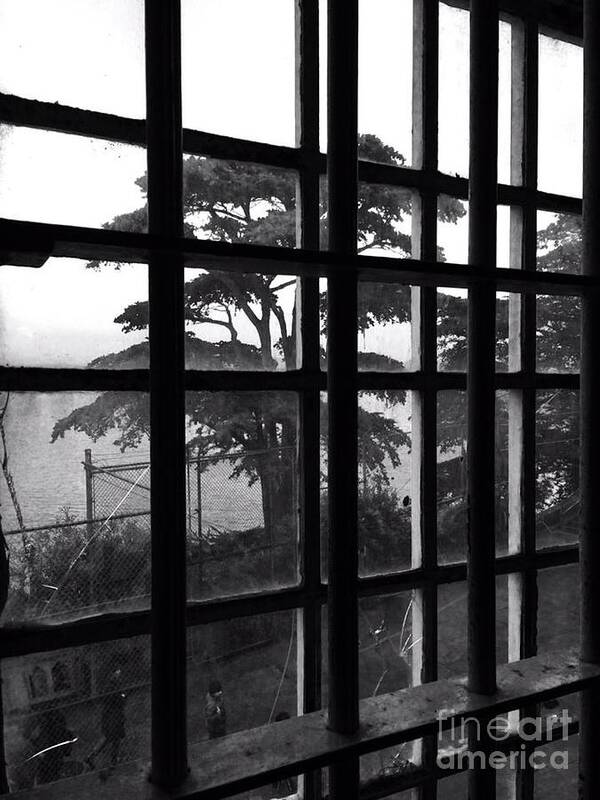 Alcatraz Art Print featuring the photograph Outside of Alcartaz by Ksenia VanderHoff