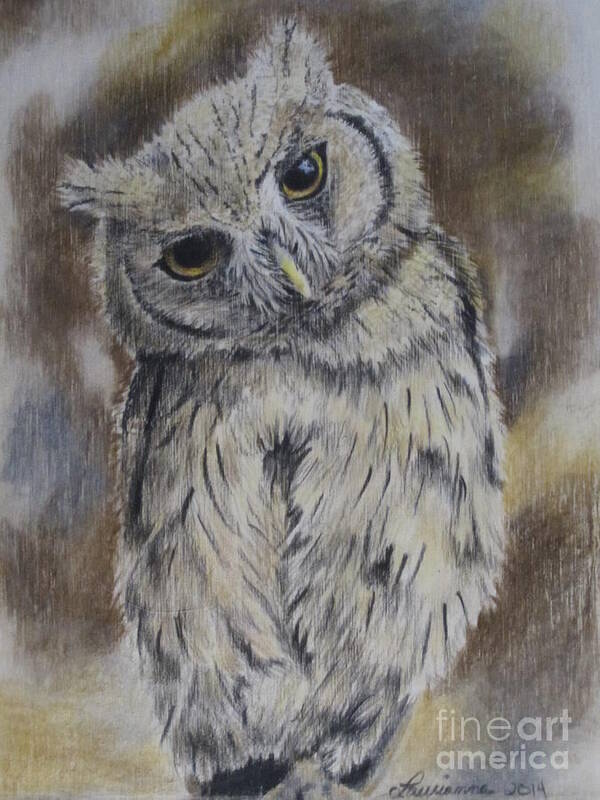 Owl Art Print featuring the drawing Owl by Laurianna Taylor