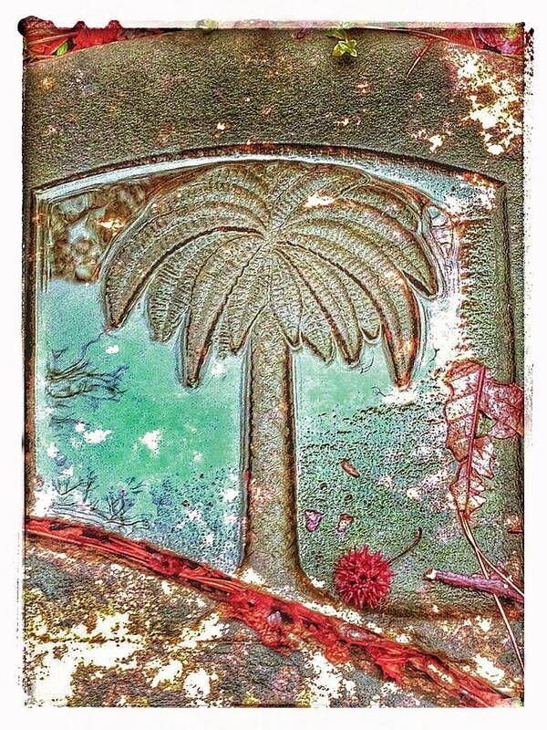 Palm Tree Art Print featuring the photograph Palm Tree by Patricia Greer