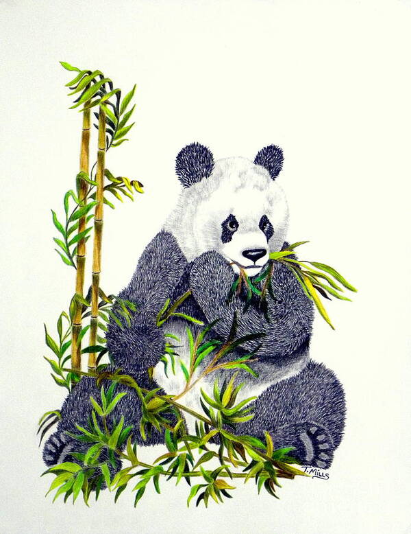 Panda Art Print featuring the drawing Panda by Terri Mills