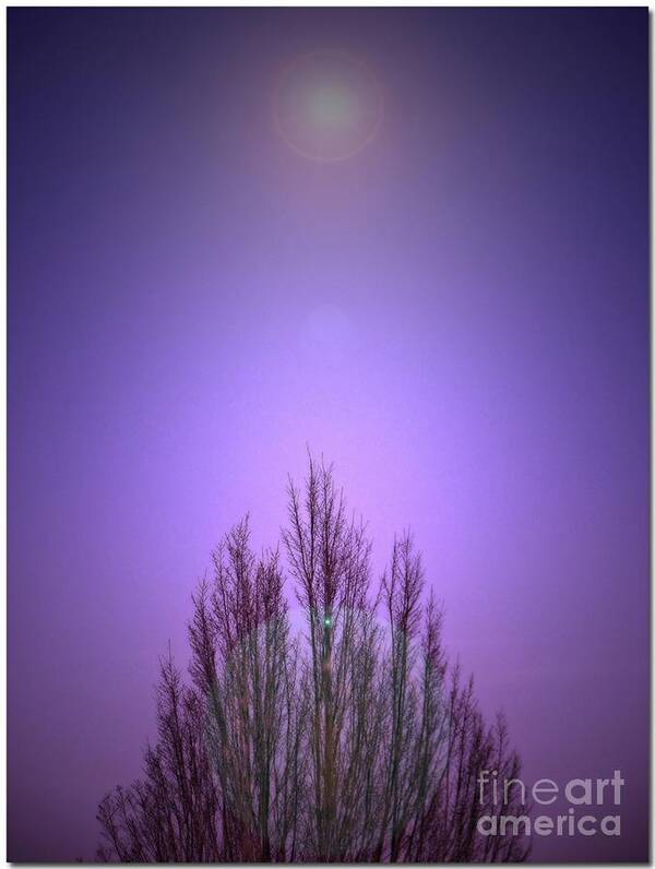 Layered Art Print featuring the photograph Perfectly Purple by Chris Anderson