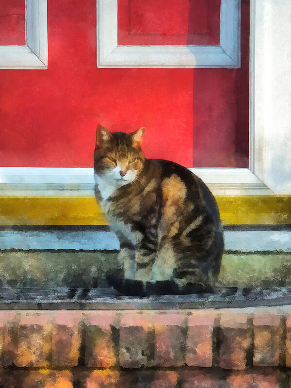 Cat Art Print featuring the photograph Pets - Tabby Cat by Red Door by Susan Savad
