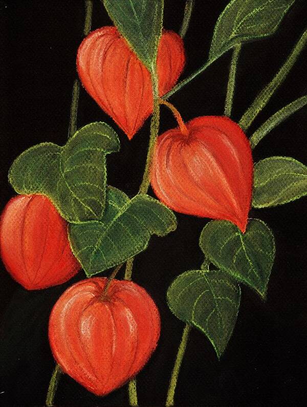 Plant Art Print featuring the painting Physalis by Anastasiya Malakhova