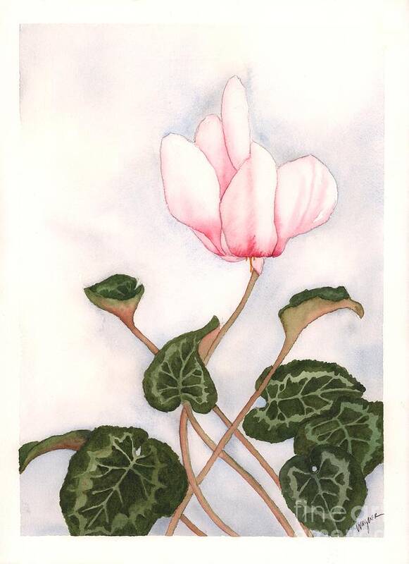 Cyclamen Art Print featuring the painting Proud Mary by Hilda Wagner