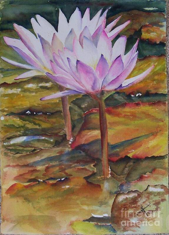 Waterlily Art Print featuring the painting Queen of the Waters by Carol Losinski Naylor