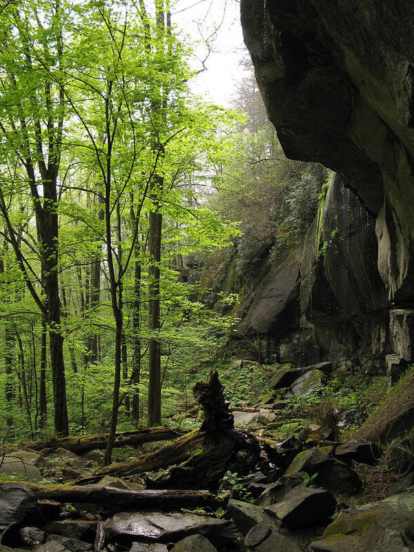 Quilliams Cave Art Print featuring the photograph Quilliams Cave by Melinda Fawver