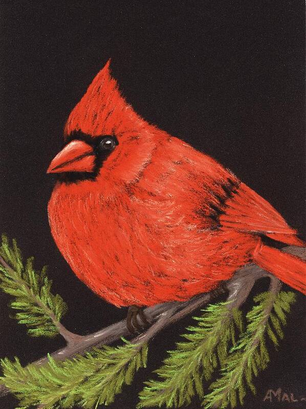 Cardinal Art Print featuring the painting Red Cardinal by Anastasiya Malakhova