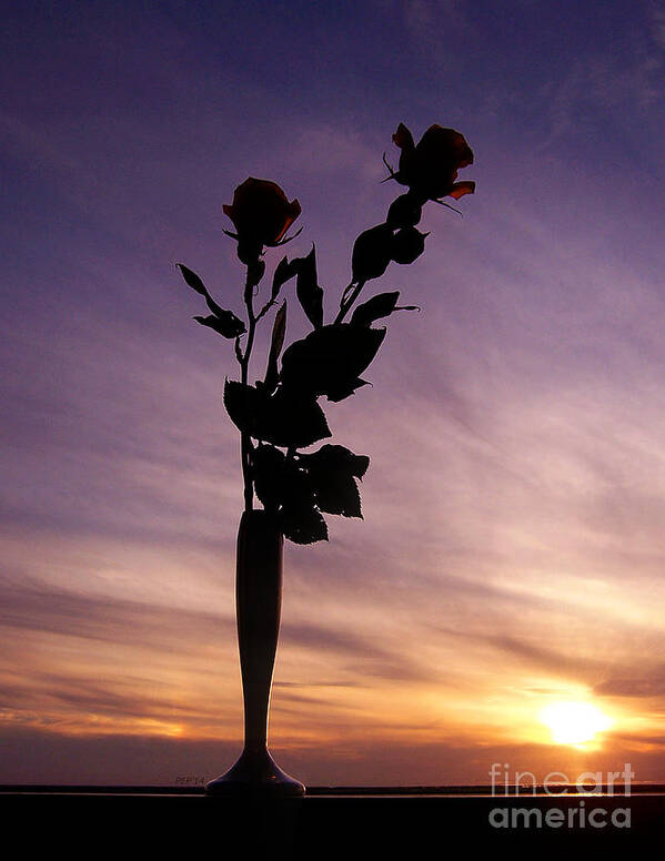 Rose Art Print featuring the photograph Red Roses At Sunset by Phil Perkins