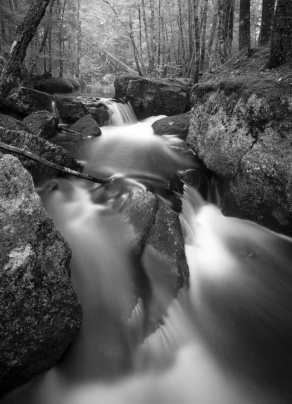 Maine Art Print featuring the photograph Roaring Brook Falls by Patrick Downey