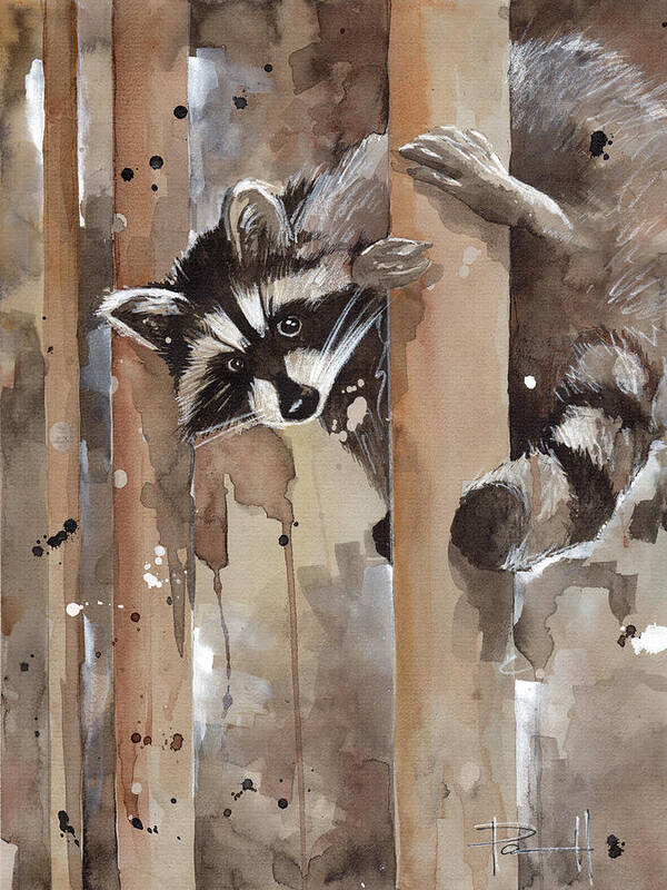 Rocky Raccoon Art Print featuring the painting Rocky by Sean Parnell