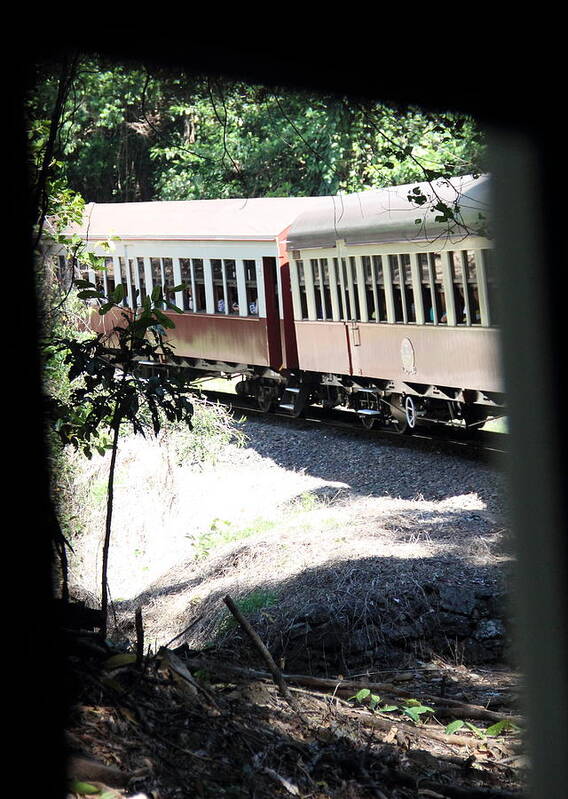  Art Print featuring the photograph rolling Stock by Debbie Cundy