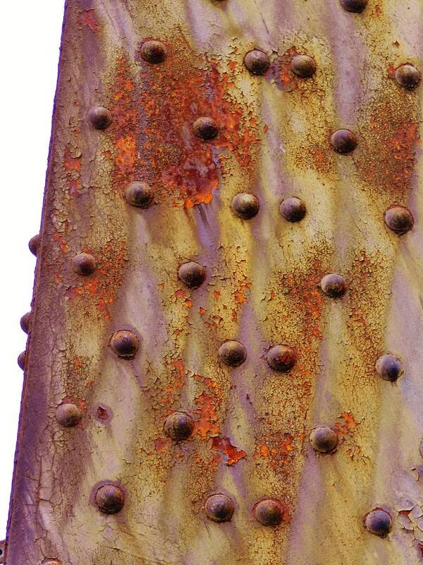 Rust Photographs Art Print featuring the photograph Rose in Lavender by Charles Lucas