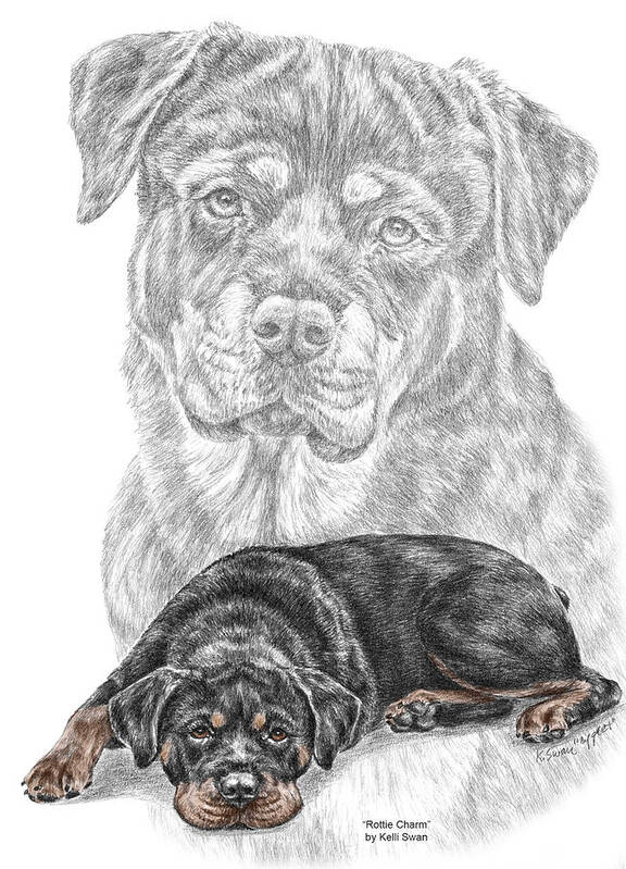 Rottie Art Print featuring the drawing Rottie Charm - Rottweiler Dog Print with Color by Kelli Swan